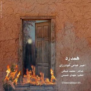 امیرعباس گودرزی – هم درد