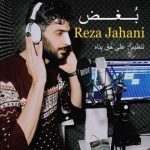 رضا جهانی – بغض