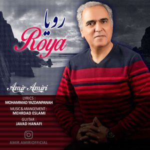 امیر امیری – رویا