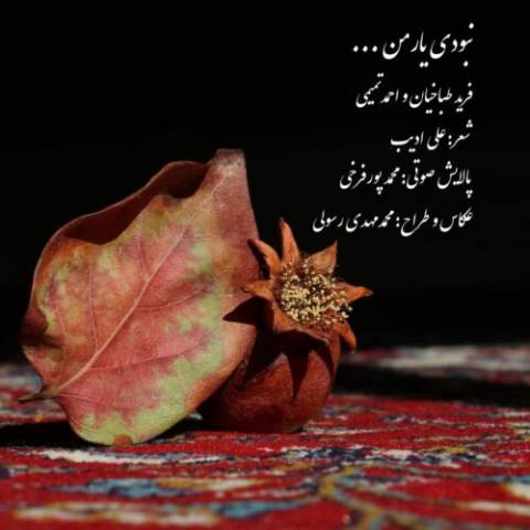 فرید طباخیان و احمد تمیمی – نبودی یار من