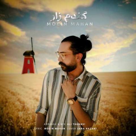 معین ماهان – گندم زار