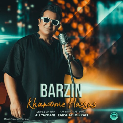 برزین – خانوم حساس
