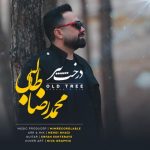 محمد رضا طالبی – درخت پیر