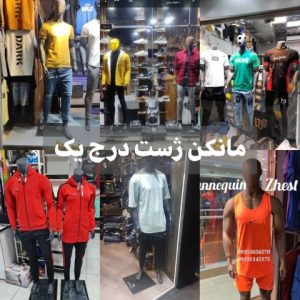 بیوگرافی مانکن ژست درج یک تولید کننده مانکن ژست